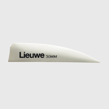 Lieuwe Fins