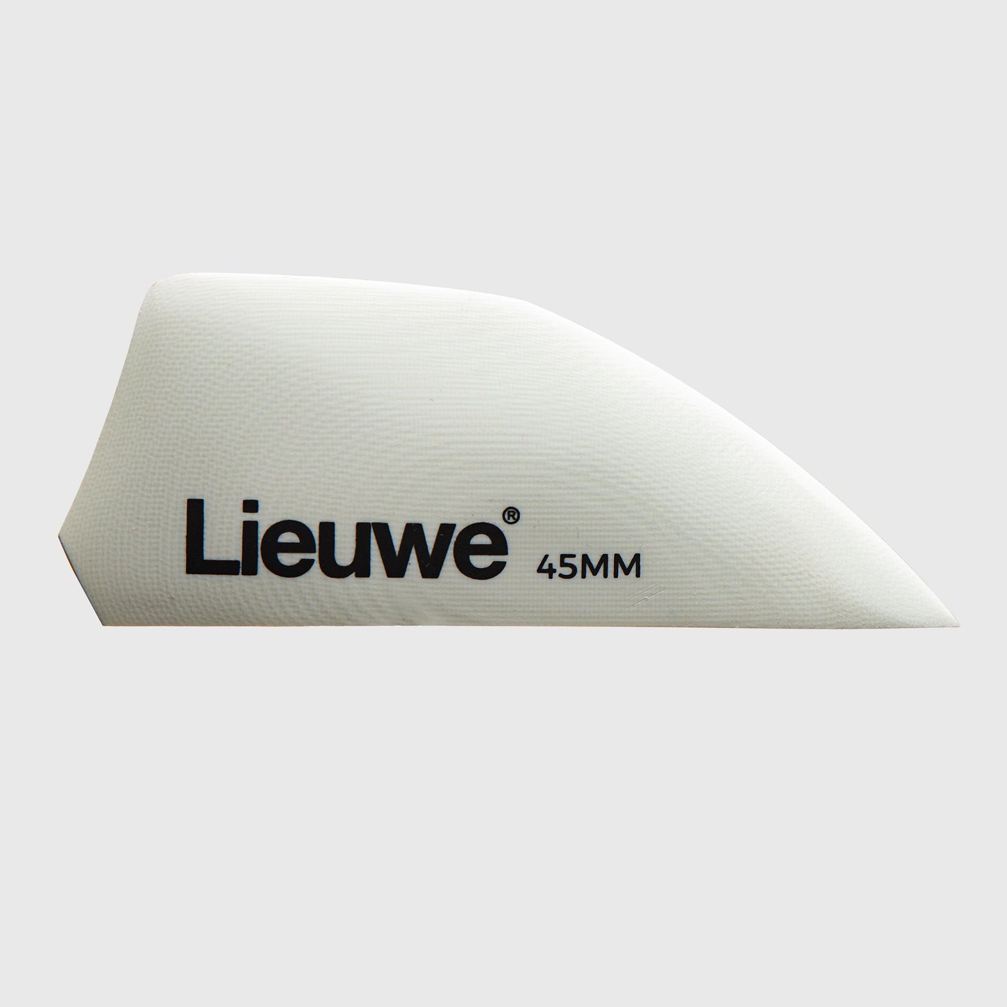 Lieuwe Fins