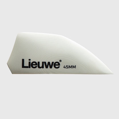 Lieuwe Fins